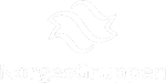 05. NorgesGruppen_logo_PNG2(13)